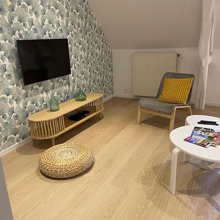 Villa Family Loft A 5Minutes Du Zooparc De Beauval Châteauvieux Exterior foto